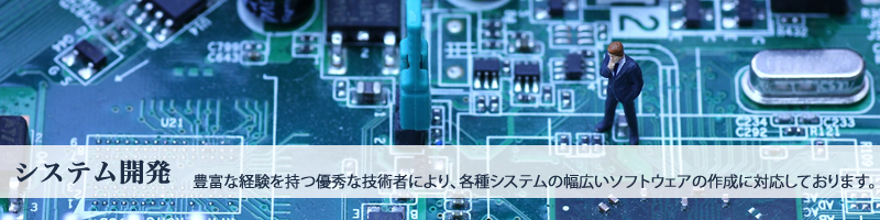 システム開発
